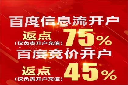 某电商平台的SEM广告投放全流程解析