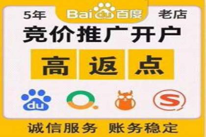 案例分析：SEM推广助力品牌知名度